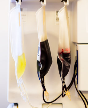 L to R: Plasma, red blood cell and whole blood units hang in a machine used for apheresis  automated blood collection.
