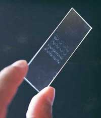 Autoantigen microarrays chip