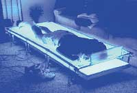 Phototherapy Bed