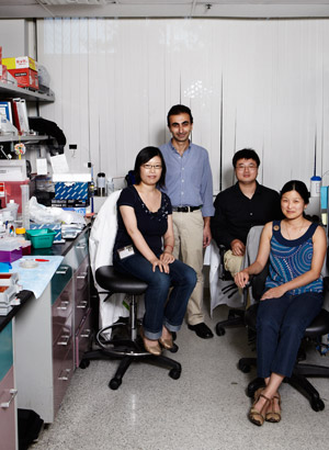 L to R: Lihua Jiang, George Mias, Rui Chen and Jennifer Li-Pook-Than co-authored the paper describing the analysis of Mike Snyder’s health data.
